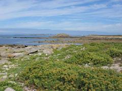 156 ILE DE HOEDIC_000066